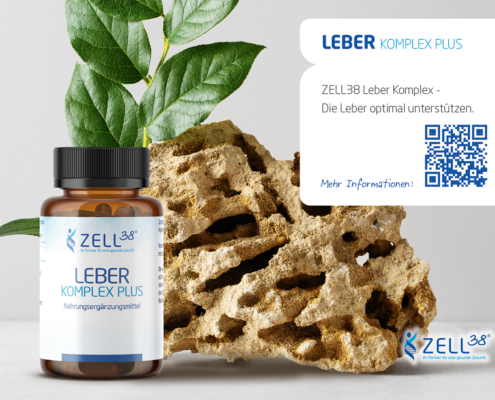 Zell38 Leber Komplex