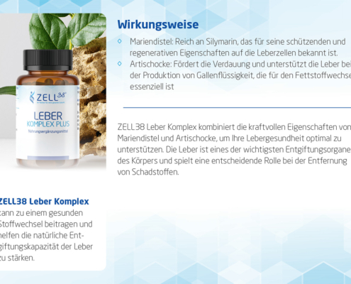 Zell38 Leber Komplex