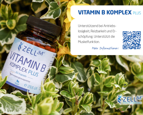 ZELL38 Vitamin B Komplex Plus